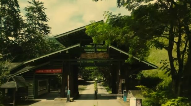 景迈千年万亩古茶园旅行图片 6