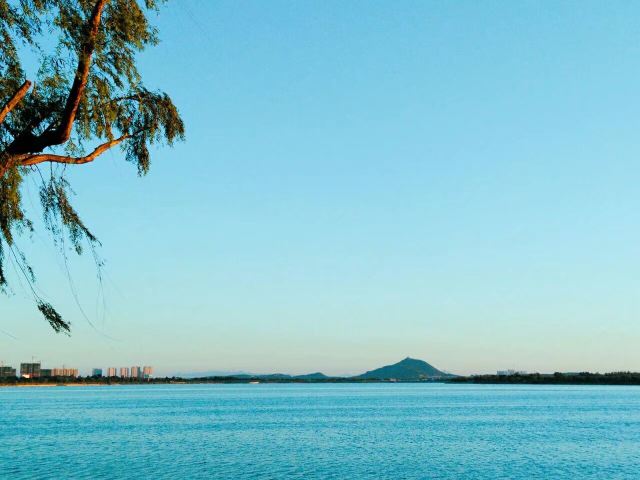 樱花湖体育公园旅行图片 10