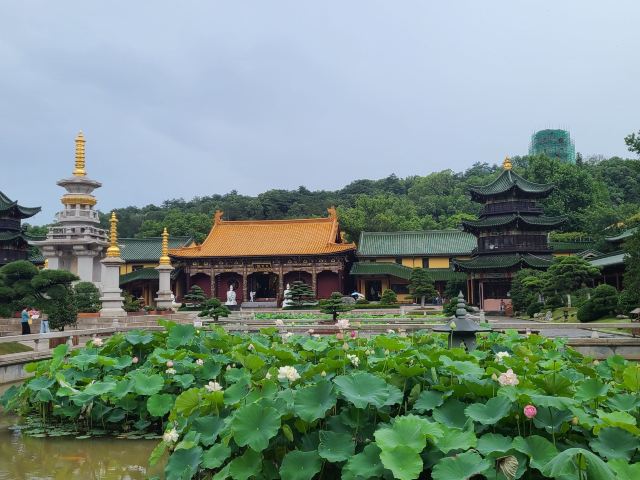 东林寺旅行图片 1