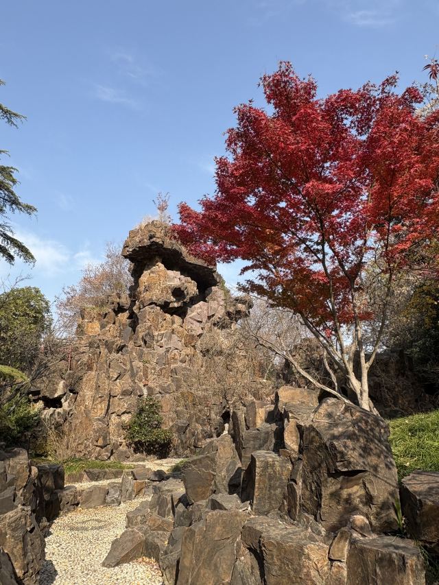 清晏园旅行图片 9