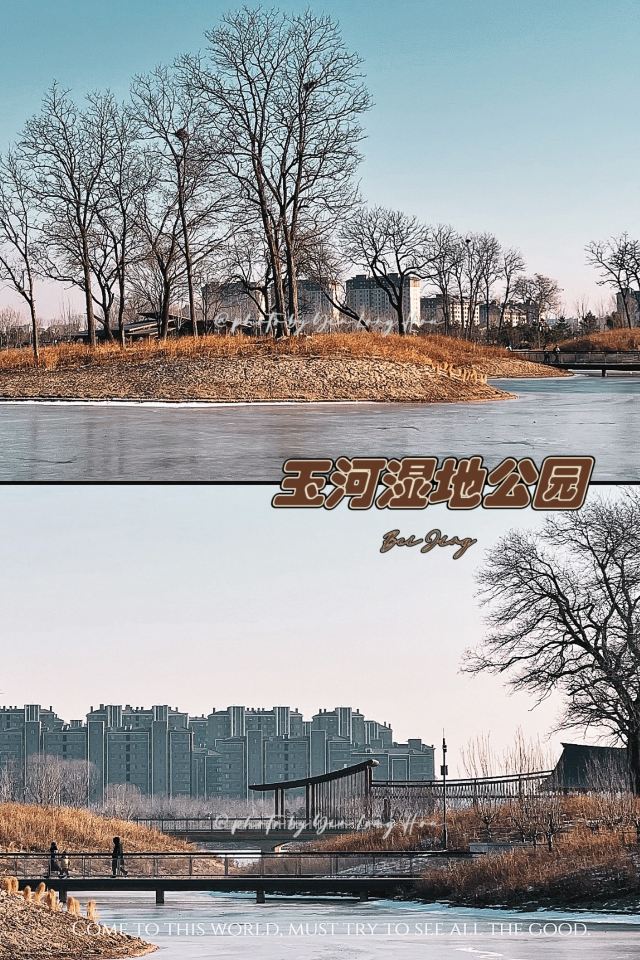 玉河湿地公园旅行图片 1