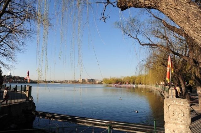 北海公园旅行图片 5