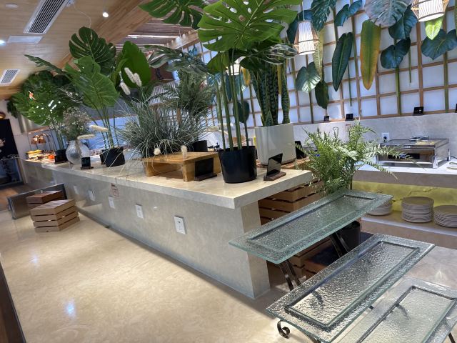茅山森林世界旅行图片 1