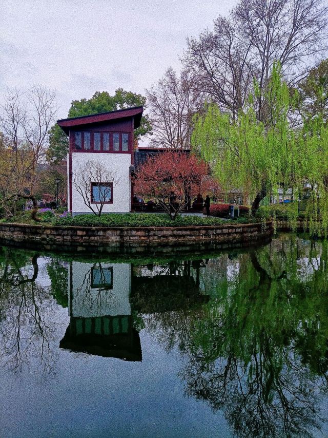 闸北公园旅行图片 4
