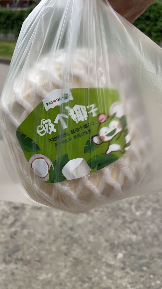 祥和公园旅行图片 2