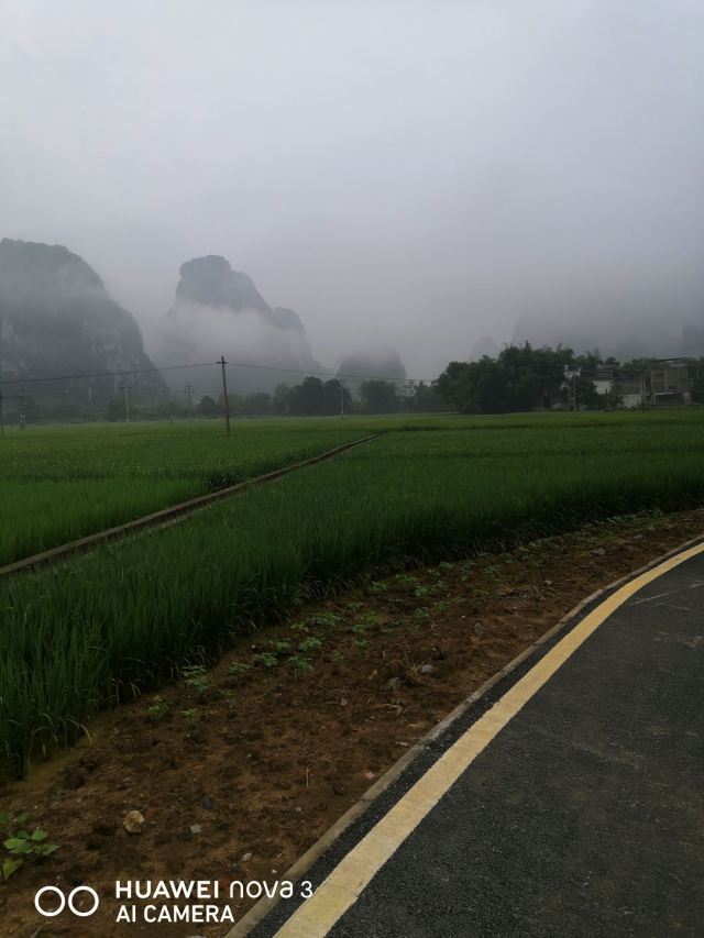 秦岭风景区旅行图片 3