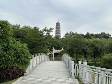 琶洲塔公园-广州-芳芳6863