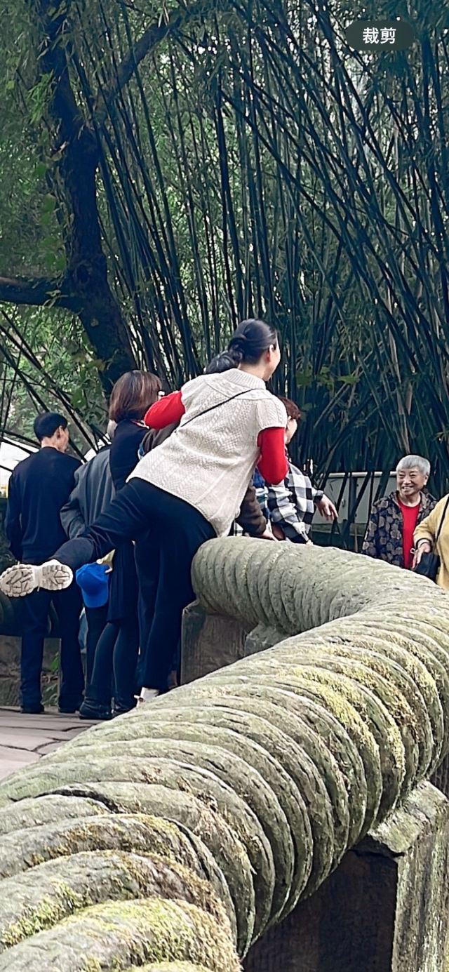 鹅岭公园旅行图片 5