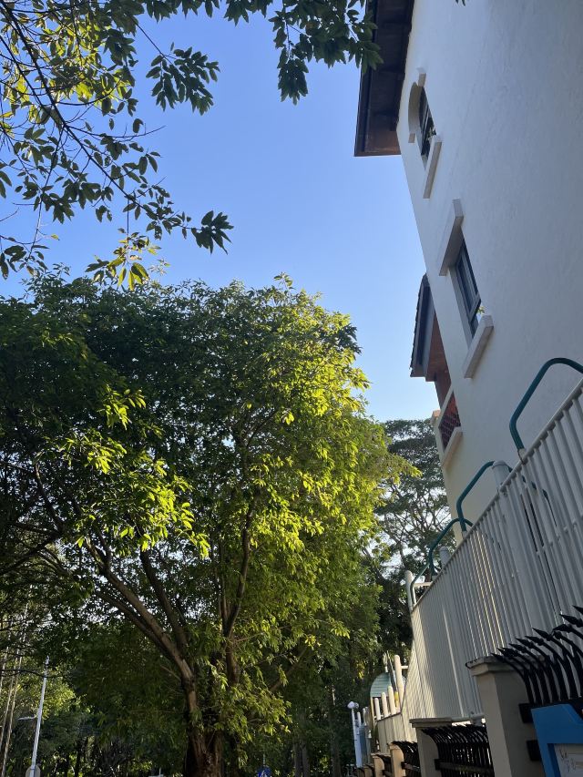 尖岗山公园旅行图片 1