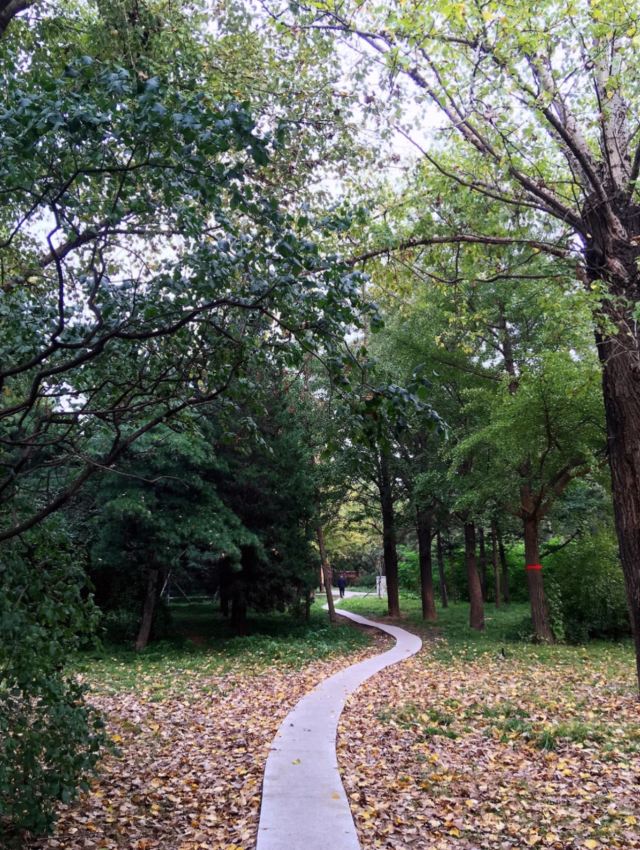 万泉公园旅行图片 3