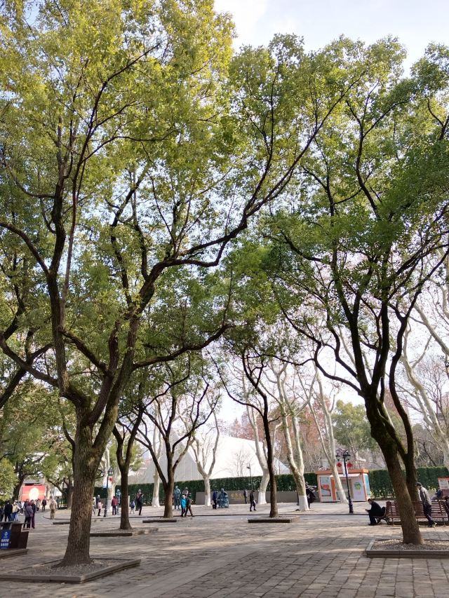 上海鲁迅公园旅行图片 12