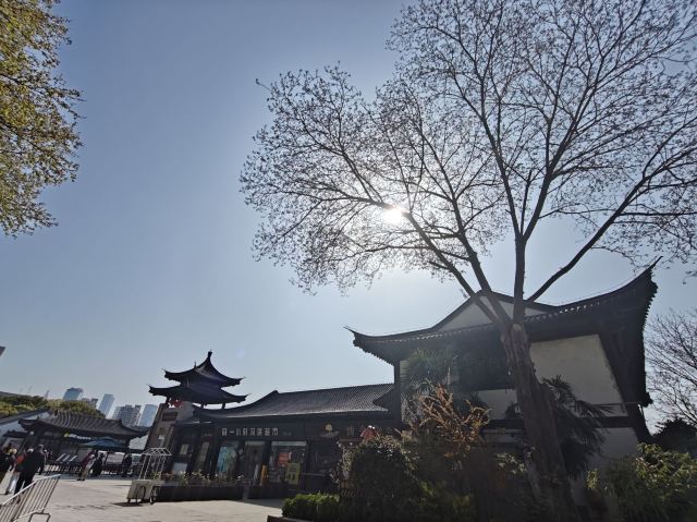莫愁湖公园旅行图片 2