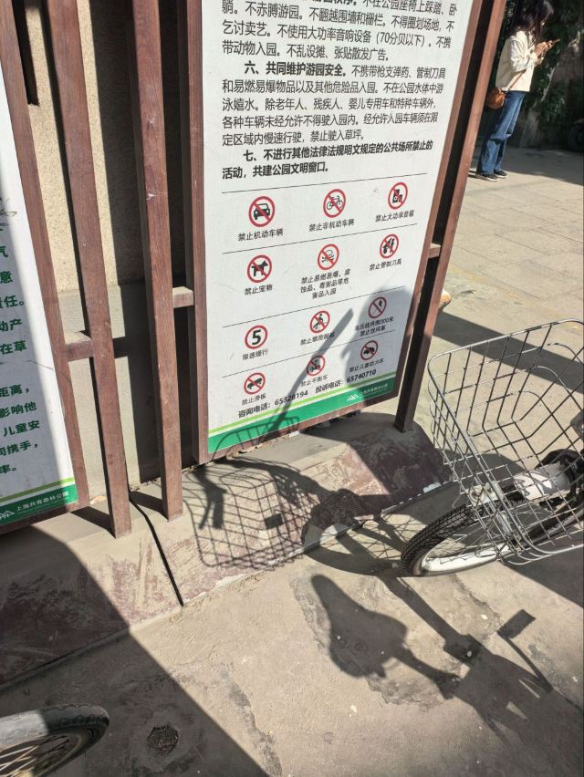 上海共青森林公园旅行图片 7