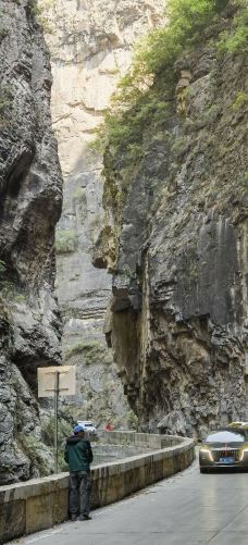 黑毛沟大峡谷-陵川-种草的阿雄