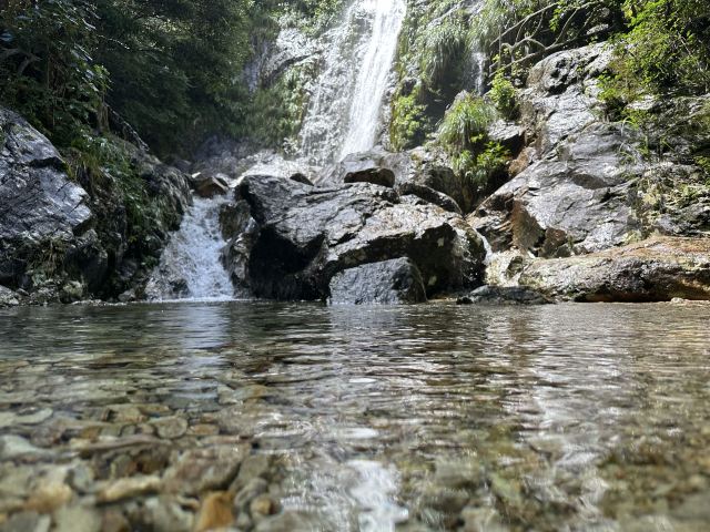 箬寮原始森林旅行图片 3