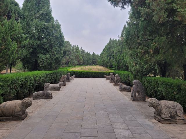 司马温公祠旅行图片 3