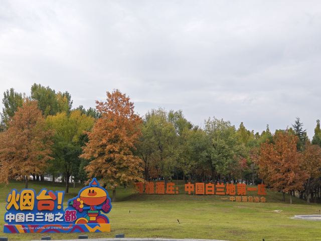 张裕国际葡萄酒城旅行图片 1