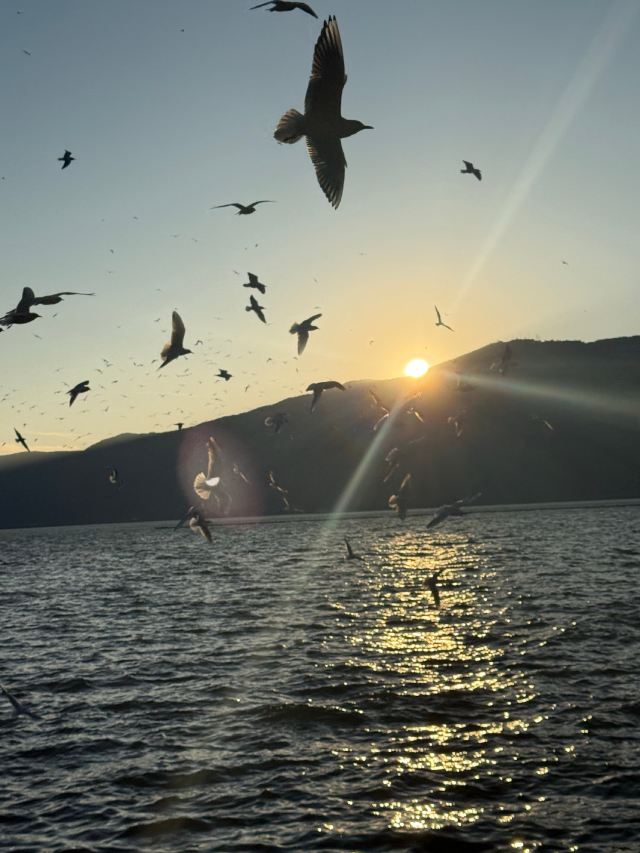 海洪湿地泼水广场旅行图片 5