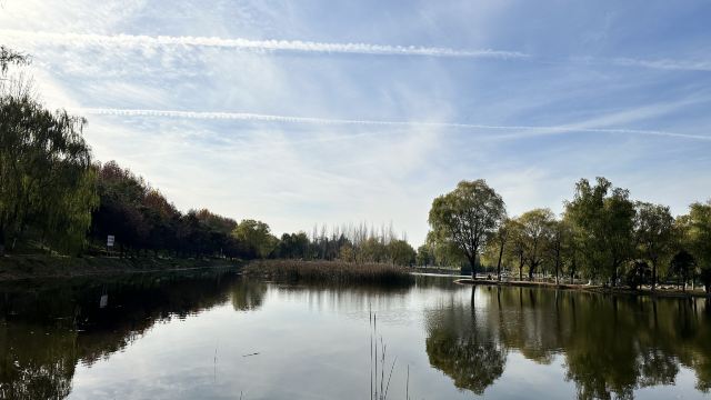 西安浐灞国家湿地公园旅行图片 8
