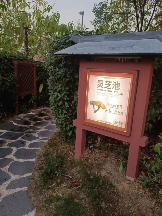 三百山温泉度假公园旅行图片 3
