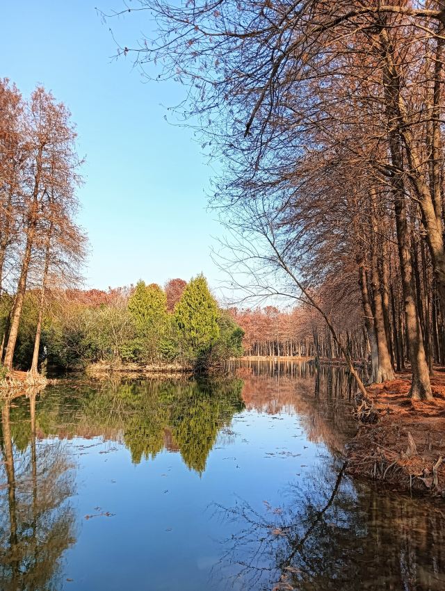 横沔公园旅行图片 14