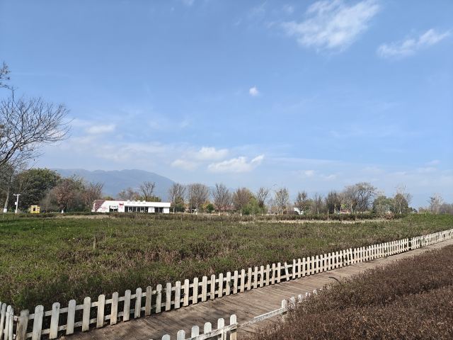 广龙抚海湾湿地公园旅行图片 1