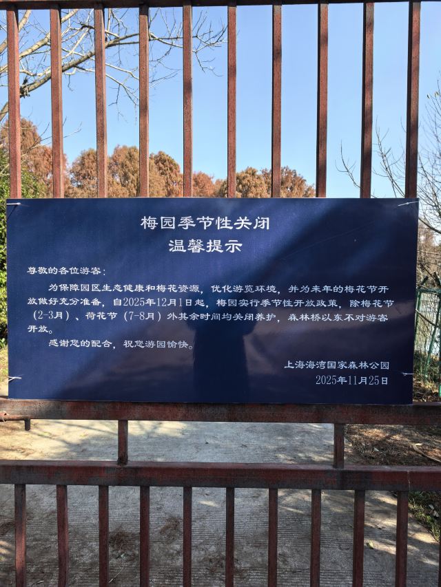 上海海湾国家森林公园旅行图片 1