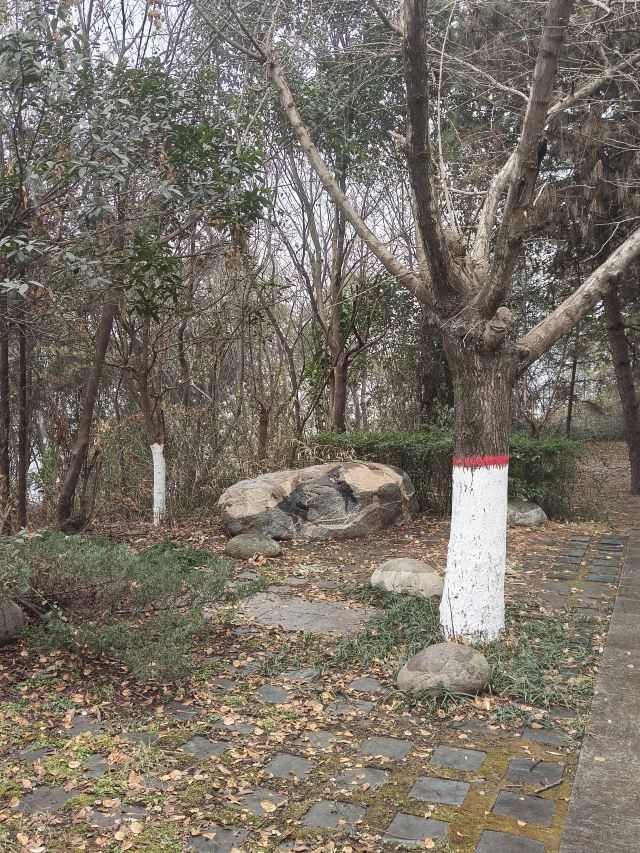 中华石鼓园旅行图片 7