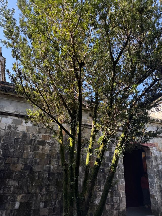 江郎山-廿八都旅游区旅行图片 3
