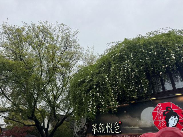 山塘街旅行图片 2