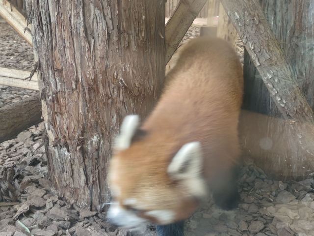 茅山森林世界旅行图片 6