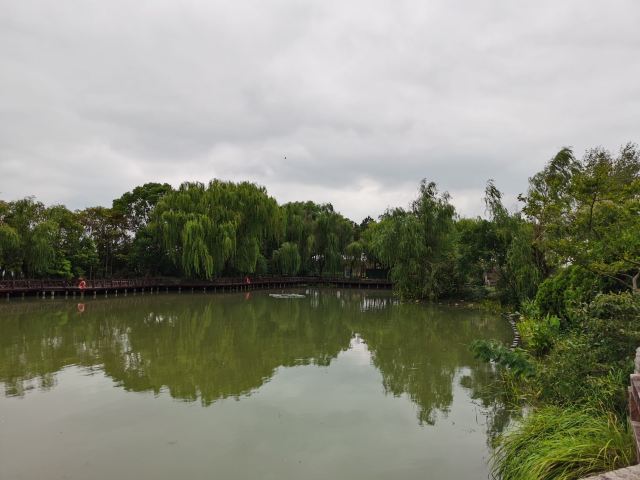 上海浦江之首旅行图片 1