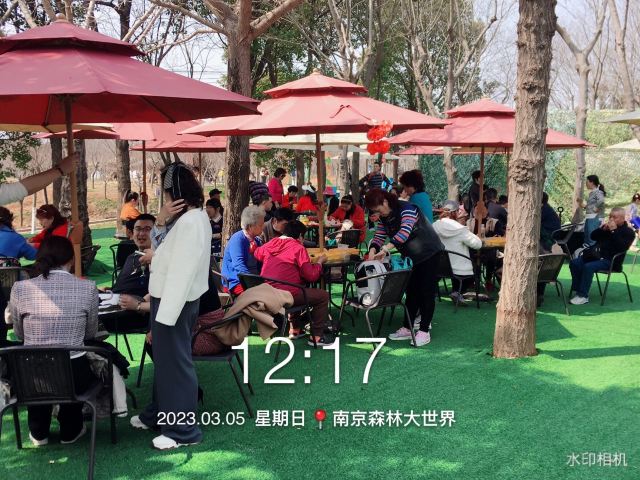南京森林大世界旅行图片 3