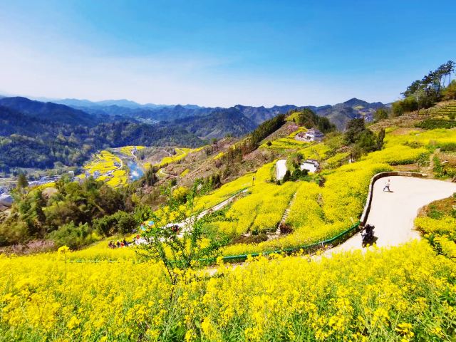 石潭村旅行图片 1