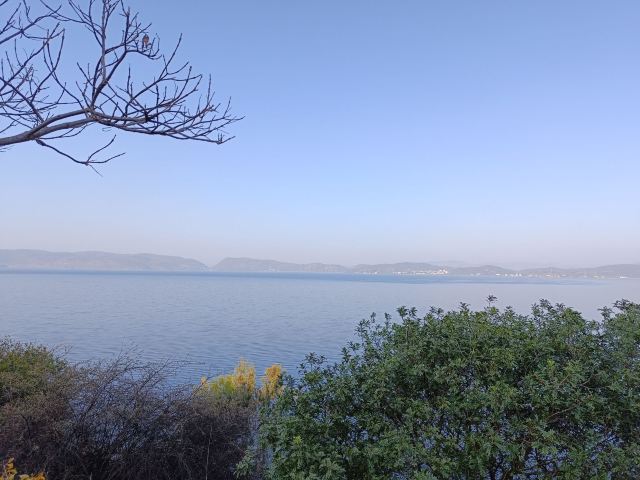 抚仙湖国际度假小镇湖畔森林公园旅行图片 2