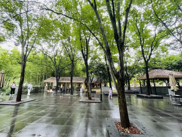 古城公园旅行图片 2