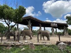 上海野生动物园-上海-Oldmengshit