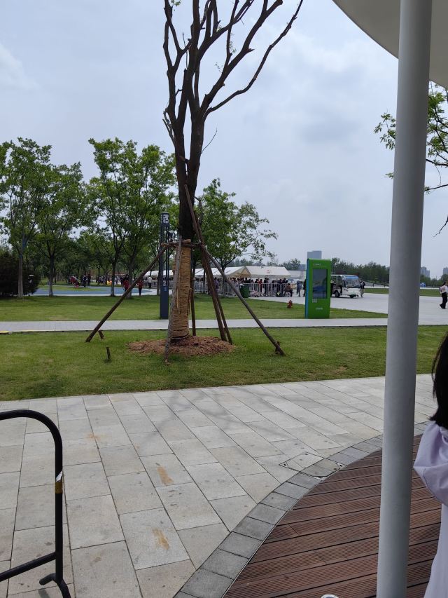 骆岗公园旅行图片 2