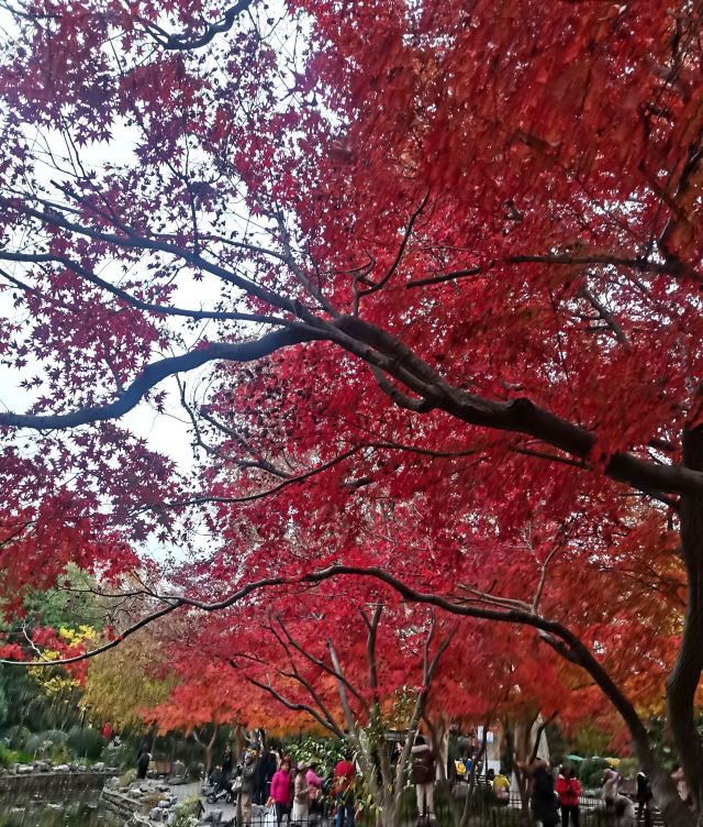 上海鲁迅公园旅行图片 1