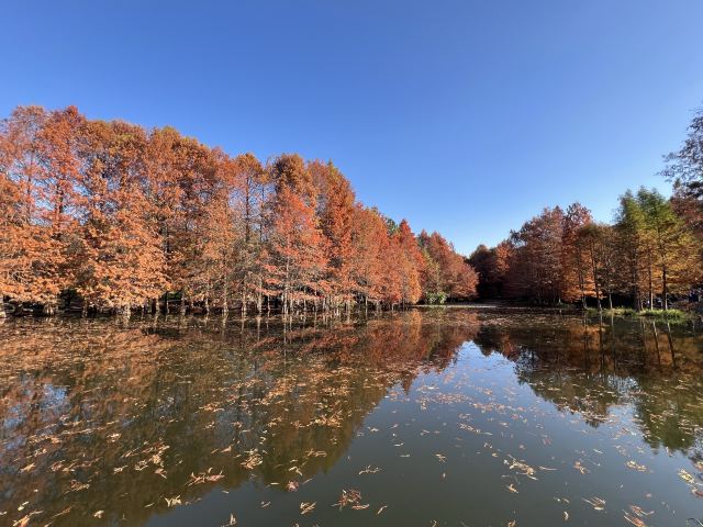 南京小九寨沟旅行图片 1