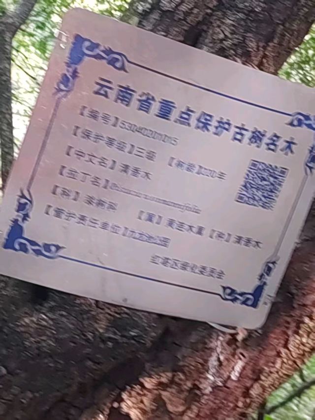 玉溪九龙池古建筑群-九龙宫旅行图片 4