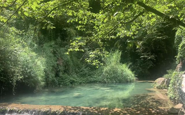 尼珠河大峡谷生态文化旅游区旅行图片 2