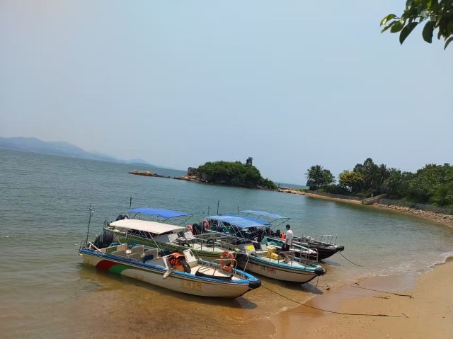 礁石公园旅行图片 2