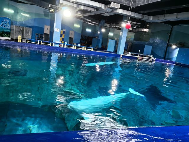 三亚亚特兰蒂斯景区旅行图片 1