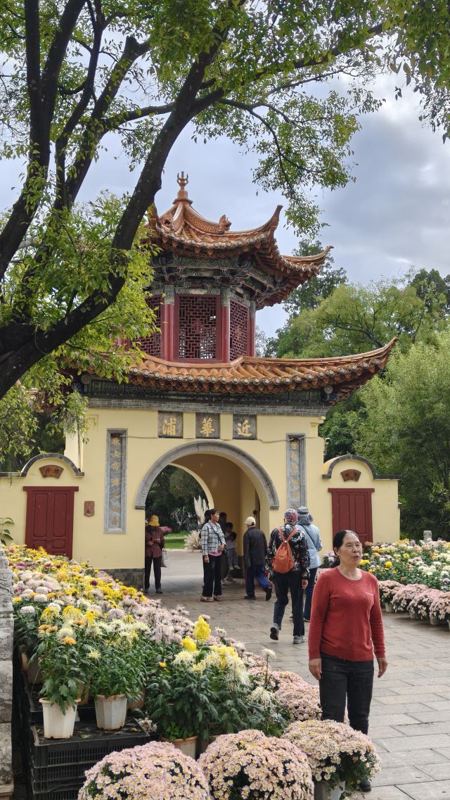 大观公园旅行图片 2