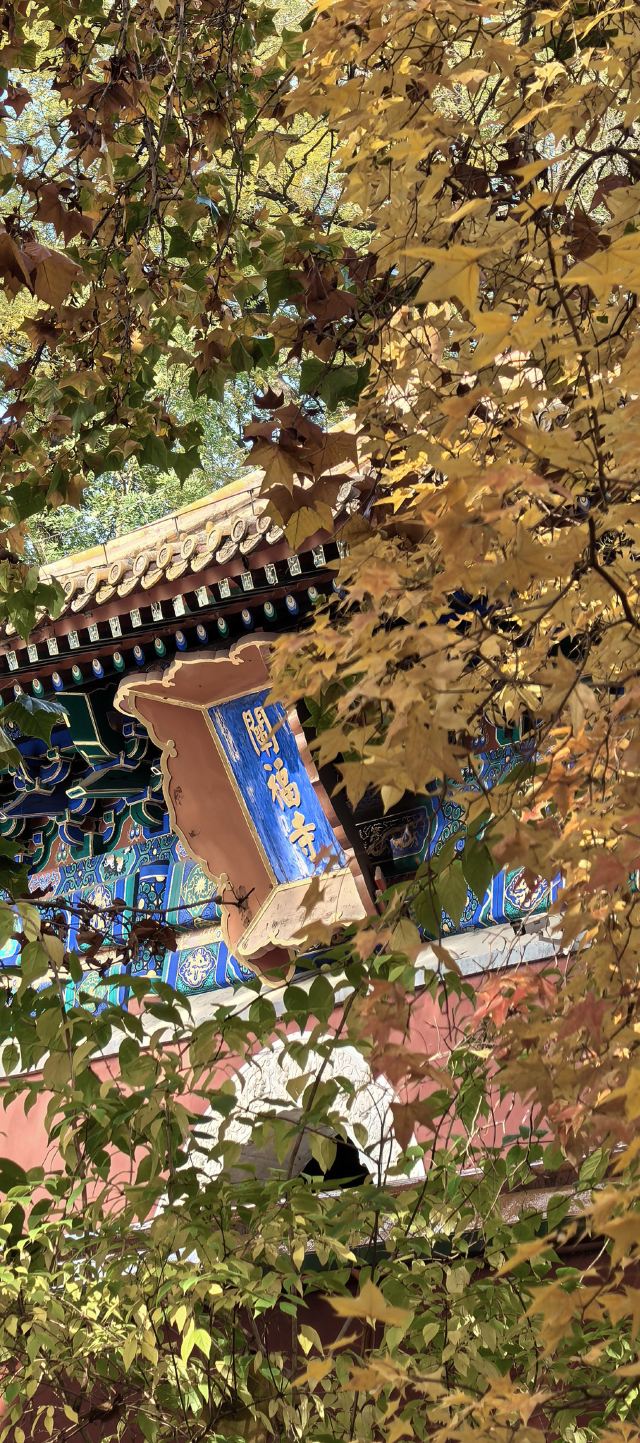 北海公园旅行图片 6
