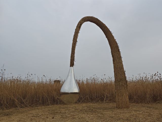 君山岛景区旅行图片 6