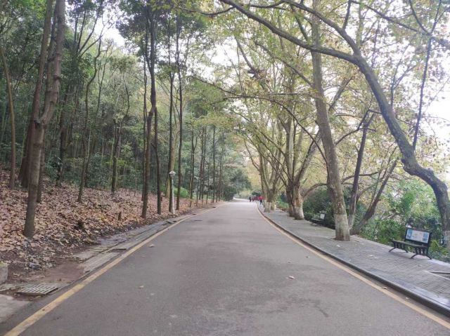 黔灵山公园旅行图片 1