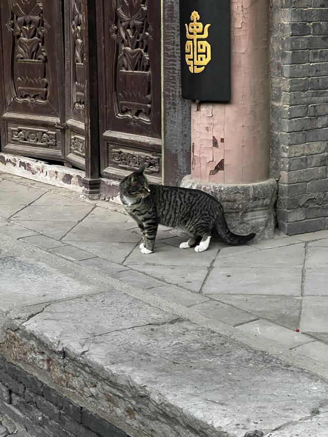 西安化觉巷清真大寺旅行图片 4