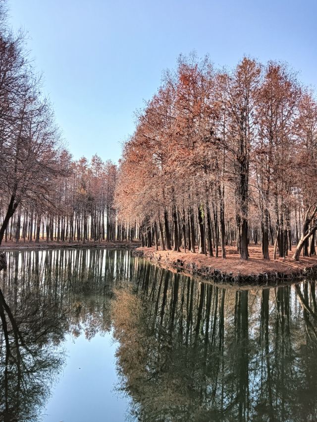 横沔公园旅行图片 12